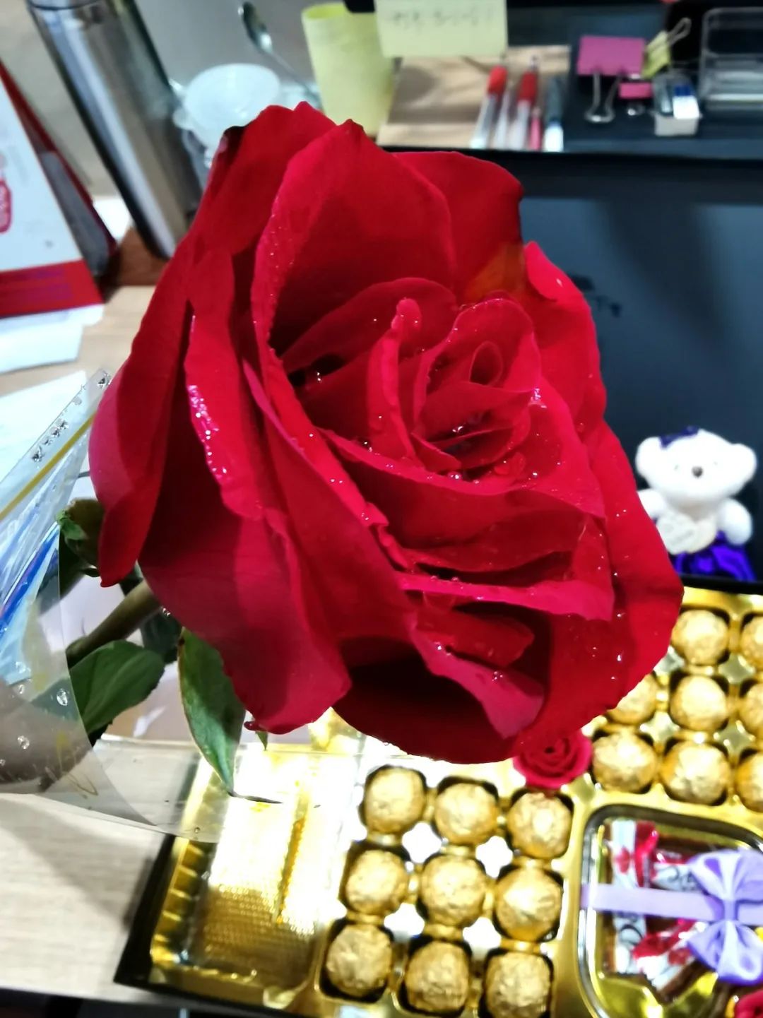 女神專屬 | 來(lái)自葆德的實(shí)力寵愛(ài)