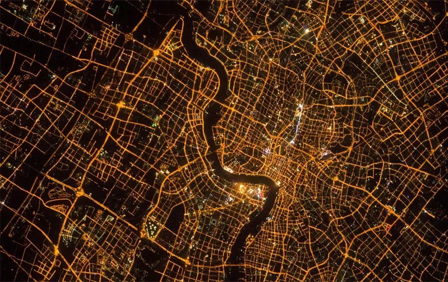 植樹節(jié) | 保護(hù)地球,葆德做起