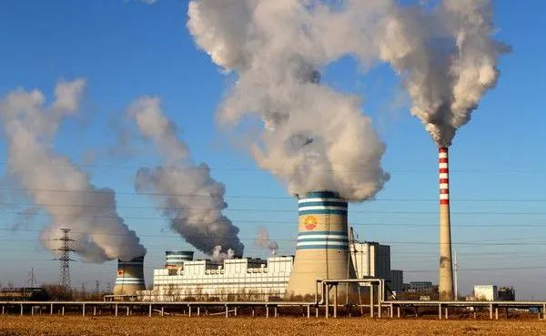 植樹節(jié) | 保護(hù)地球,葆德做起