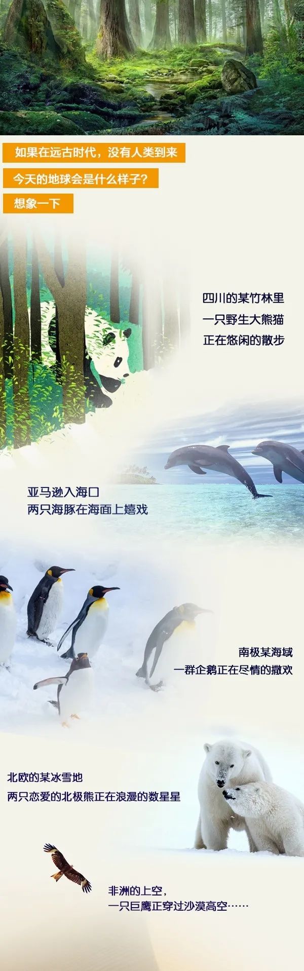 地球一小時 | 葆德能做的，遠不止這一小時