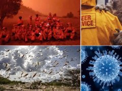 世界地球日｜葆護地球，與自然和諧共生