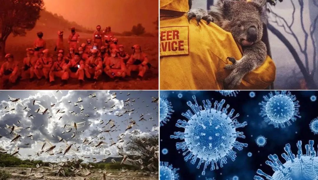 世界地球日|葆護(hù)地球,與自然和諧共生