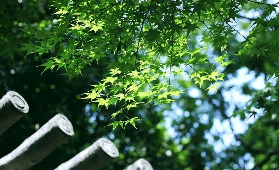 進(jìn)入夏季高溫期，空壓機(jī)常見故障排除竅門