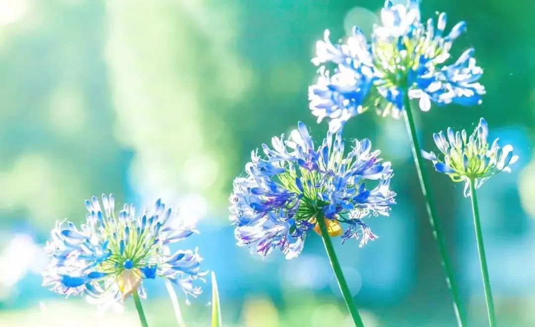 進(jìn)入夏季高溫期，空壓機(jī)常見故障排除竅門