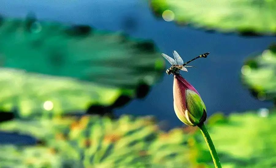 進(jìn)入夏季高溫期，空壓機(jī)常見故障排除竅門