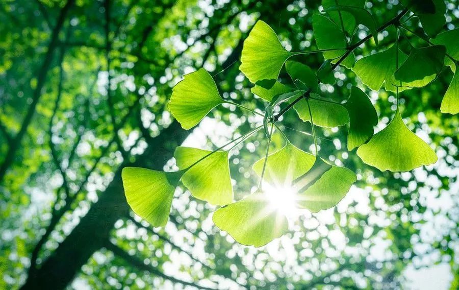 進(jìn)入夏季高溫期，空壓機(jī)常見故障排除竅門