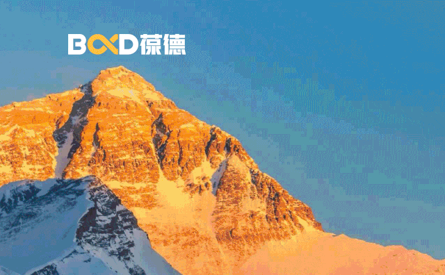 高瞻遠矚｜葆德董事長給葆德80/90后的一封信