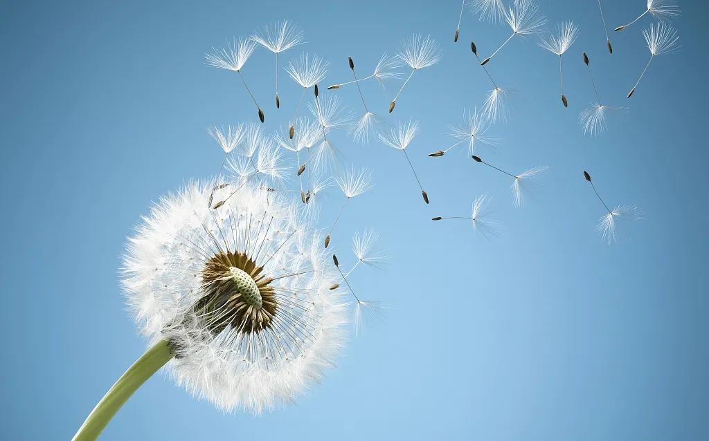 記住這些數據，你就懂空壓機了！