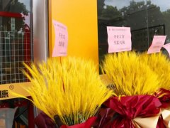 星耀啟航｜葆德節能空壓機佛山里水店盛大開業！