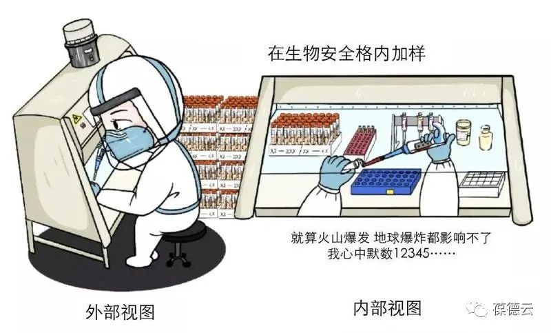 圖解核酸檢測,助力抗疫,葆德一直在行動!