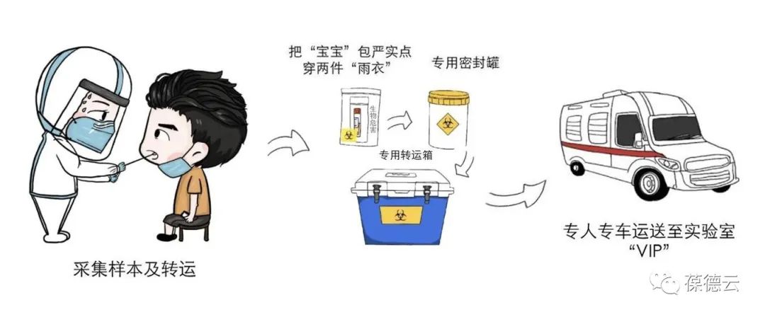 圖解核酸檢測,助力抗疫,葆德一直在行動!