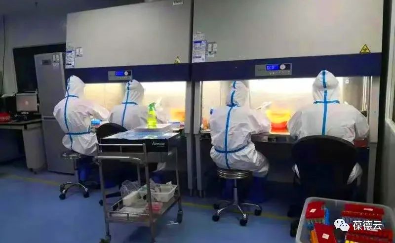 圖解核酸檢測,助力抗疫,葆德一直在行動!