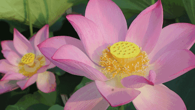 葆德貼心關懷,空壓機防高溫有妙招!