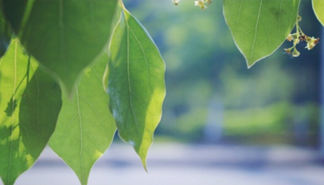 葆德貼心關懷,空壓機防高溫有妙招!