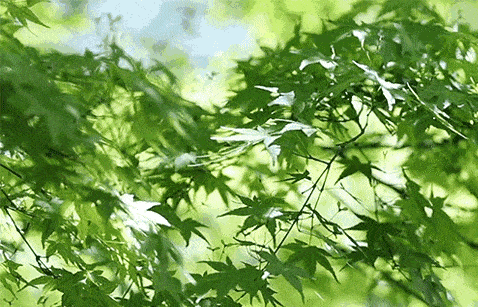 葆德貼心關懷,空壓機防高溫有妙招!