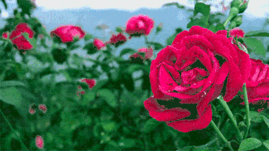 葆德貼心關懷,空壓機防高溫有妙招!