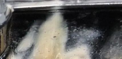 空壓機管理人必看！潤滑油乳化到底可不可怕？