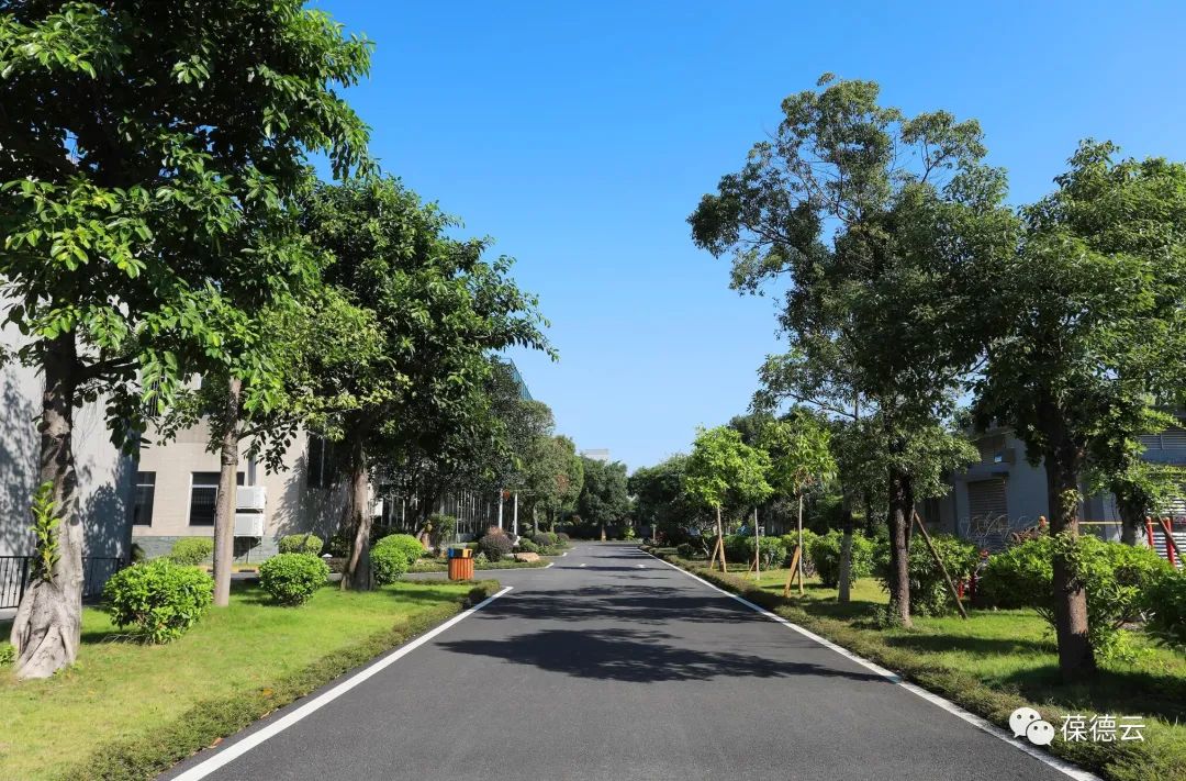 從最美工廠到智能制造，探訪葆德科技的工業美學！