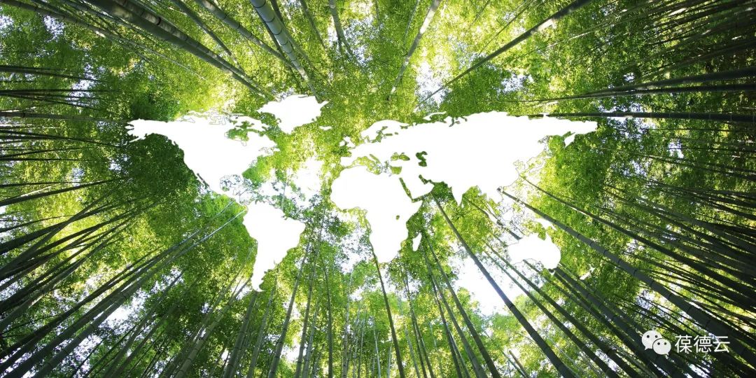 全國低碳日 | 讓低碳節(jié)能成為我們共同的選擇!