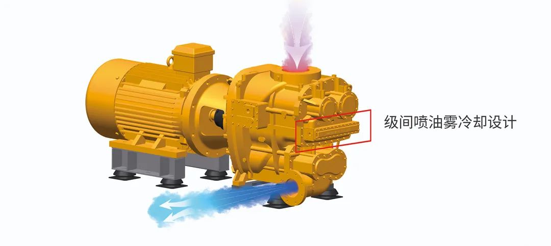 “雙碳”節(jié)能如何年省100萬？央視采訪帶你一“碳”究竟！