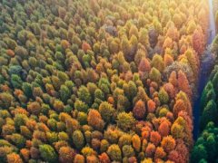 “錯峰用電”與“新階電價”，企業生產如何實現科學節能？