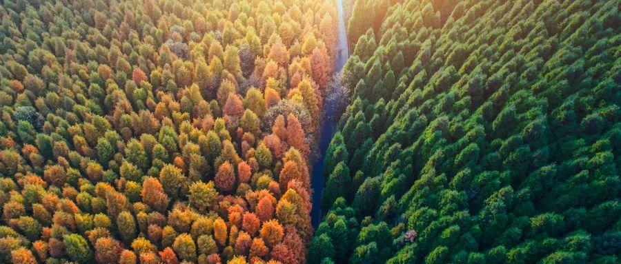 “錯峰用電”與“新階電價”，企業生產如何實現科學節能？