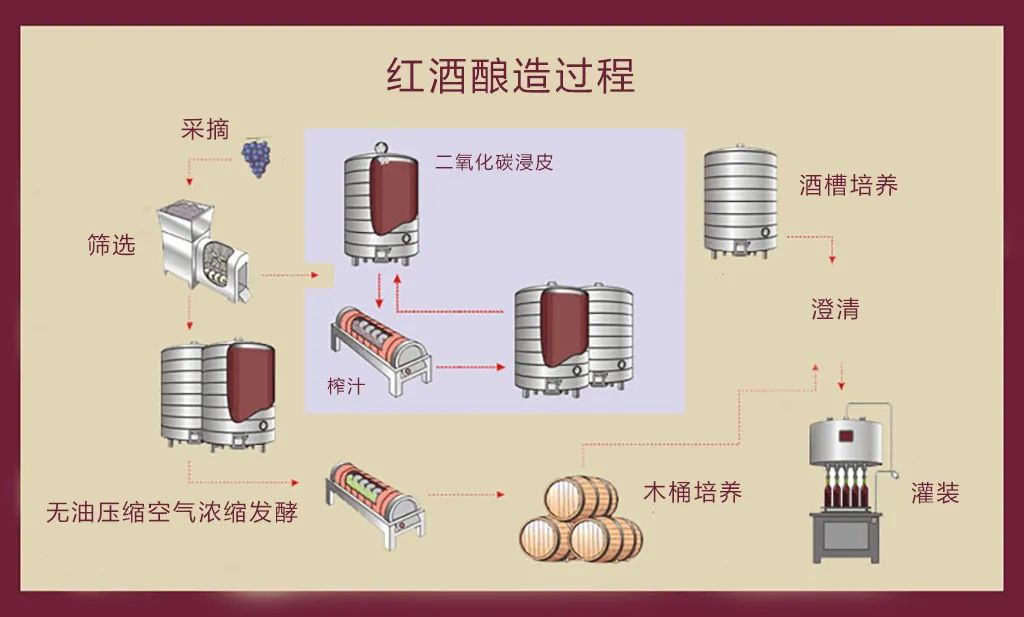 漲知識｜紅酒內(nèi)有“活”的生物？內(nèi)行人知道的“秘密”！