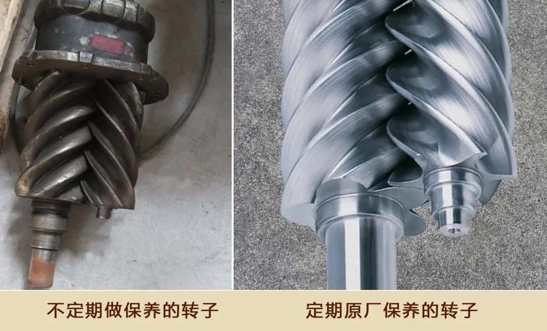 虎氣滿滿，強大動力，開年保養很有必要！