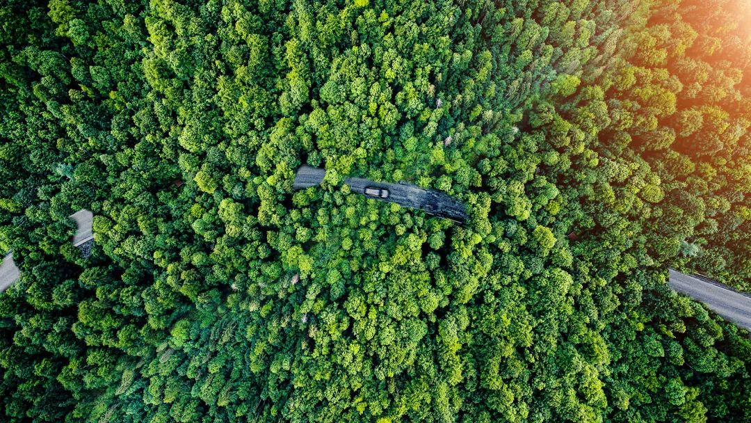 世界環(huán)境日 | 空壓機(jī)也能“光合作用”？葆德與您共建清潔美麗世界！