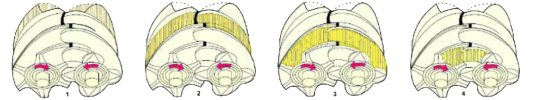綠水青山,美麗中國,葆德鼓風機在水處理行業中的應用!