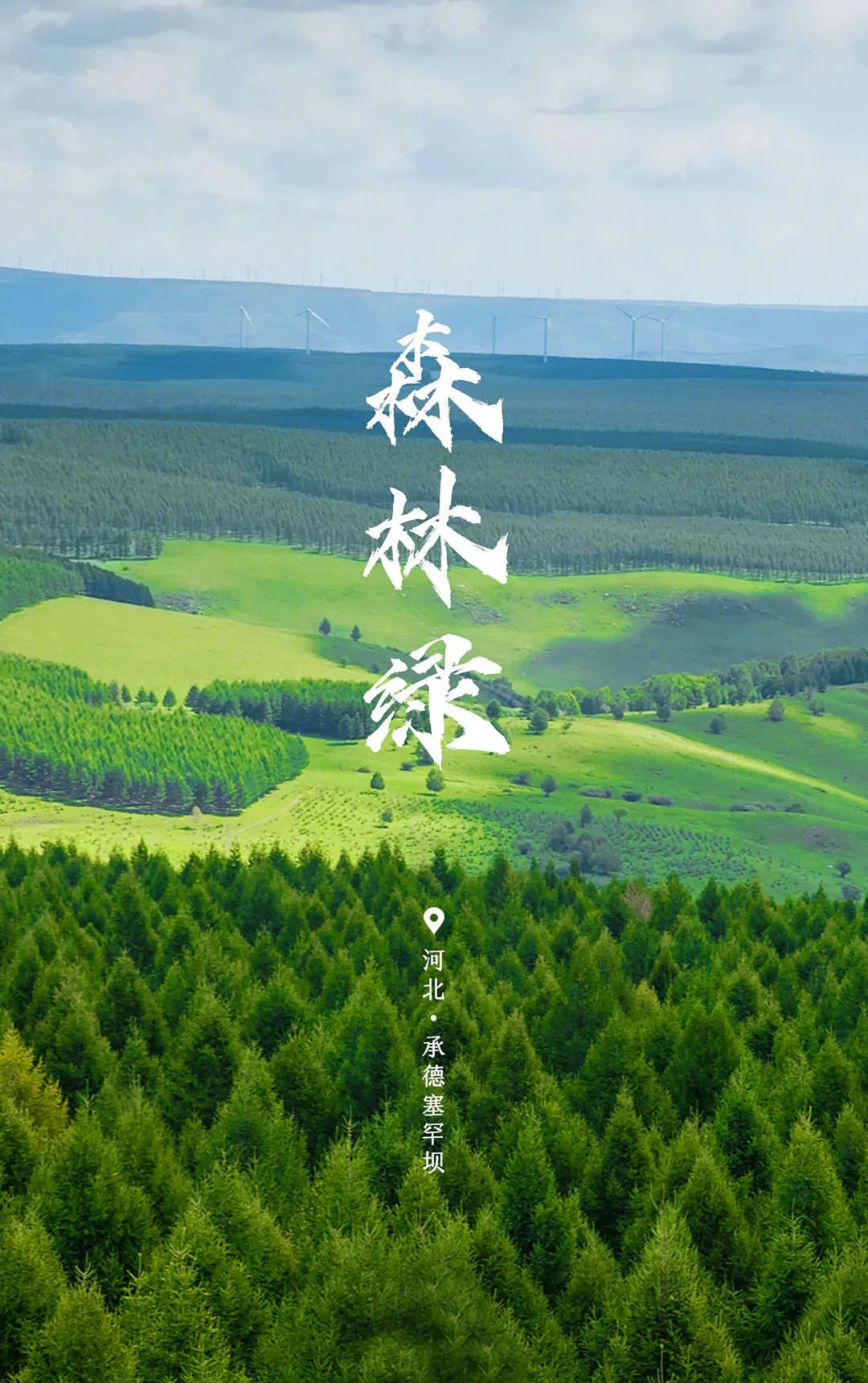 世界環境日 | 用數據驅動節能降耗，建設人與自然和諧共生！