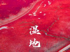 世界環境日 | 用數據驅動節能降耗，建設人與自然和諧共生！