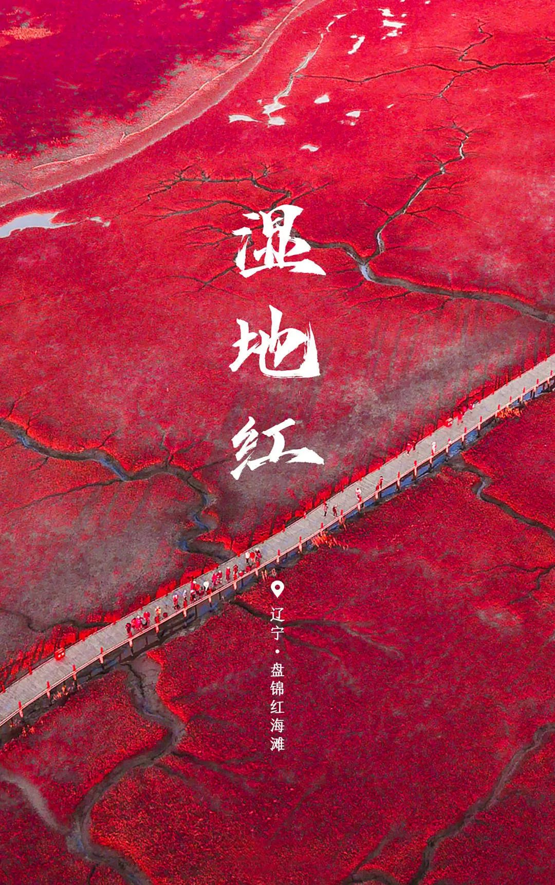 世界環境日 | 用數據驅動節能降耗，建設人與自然和諧共生！