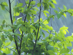 梅雨季必備之空壓機、空壓站的防雨防潮攻略