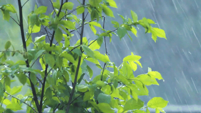 梅雨季必備之空壓機、空壓站的防雨防潮攻略