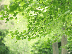 小暑大暑，空壓機預防中暑，葆德有“涼”方！