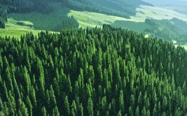 與時代，共卓越 |從中國制造到中國驕傲，國貨的齒輪開始轉動！