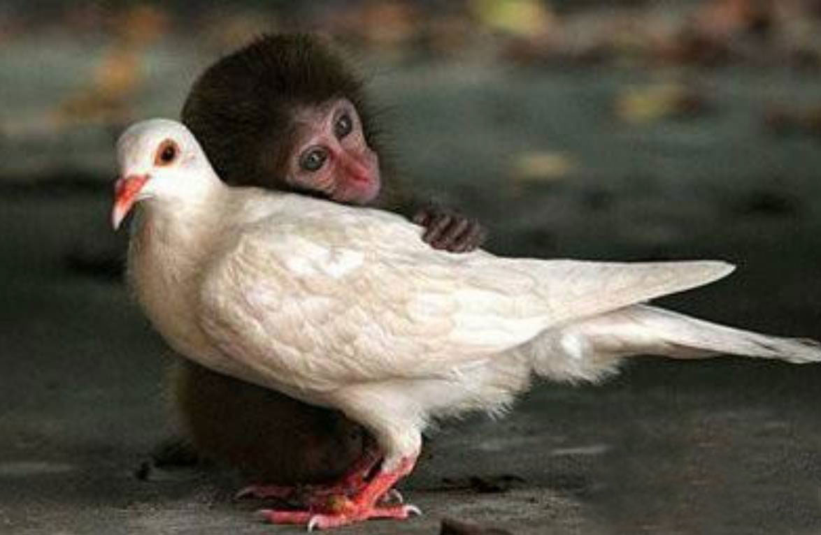 觸動內心的十三個瞬間